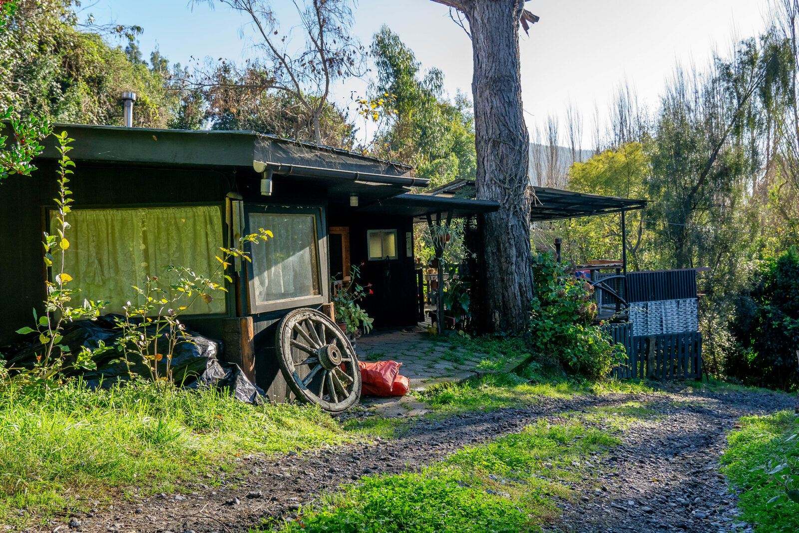 Fachada de la cabaña entre los árboles